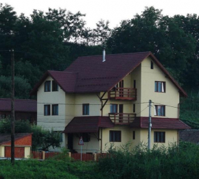 Отель Casa dintre Vii  Jidvei